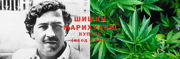 сатива Белоозёрский