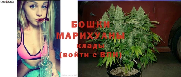 сатива Белоозёрский